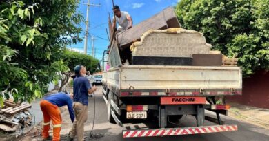 Operação Cata-Treco já recolheu cerca de 230 toneladas de materiais inservíveis