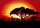 Temperatura extrema e mudança climática afetam África de forma mais árdua