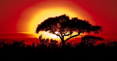 Temperatura extrema e mudança climática afetam África de forma mais árdua