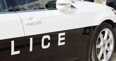 Brasileiro de 18 anos é preso por suspeita de repassar maconha a conhecido em Gifu; veja punições