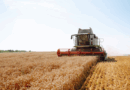 Crescimento da economia brasileira é impulsionado pelo agro no primeiro trimestre