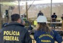 Ação conjunta resulta na apreensão de carga irregular de farelo de soja em Paranaguá