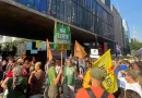 Manifestações denunciam retrocessos no ‘PL da Devastação’