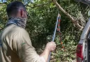 Mais de 50 mil animais silvestres, por ano, são encaminhados aos Cetas do Ibama para tratamento e reabilitação