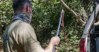 Mais de 50 mil animais silvestres, por ano, são encaminhados aos Cetas do Ibama para tratamento e reabilitação