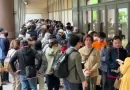 Consumidores fazem fila para comprar “arroz de ¥2.000”; veja onde e quando encontrar o produto