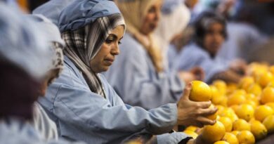 Alimentos contaminados geram prejuízo de US$ 95 bilhões em países mais pobres