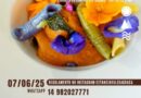 VI Concurso de Gastronomia PANC acontece no próximo sábado