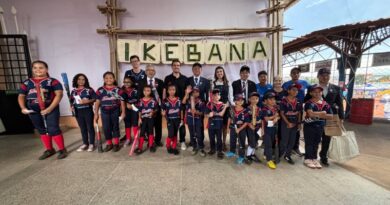 Japan Fest representa a diversidade cultural de Marília