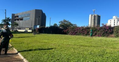 Prefeitura realiza ação de limpeza e zeladoria em terreno na Avenida Ipiranga
