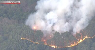 Incêndios florestais no nordeste do Japão avançam em direção a área residencial