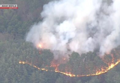 Incêndios florestais no nordeste do Japão avançam em direção a área residencial