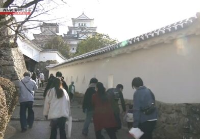 Governo do Japão estuda diretrizes para diferenciação de preços em pontos turísticos