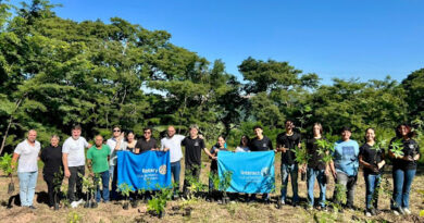 Prefeitura mantém projeto “Arborização Mais Segura” em convênio com a CPFL