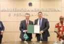 Pacto Agropecuário: Brasil e África do Sul Ampliam Cooperação Técnica e Comercial