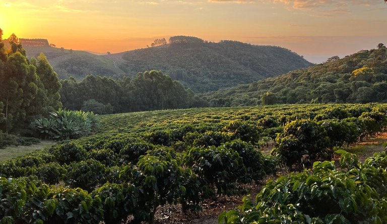 Circuito das Águas Paulista conquista Indicação Geográfica para o café