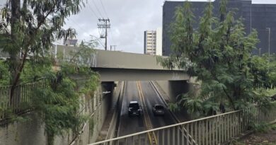 Prefeitura intensifica revitalização do Pontilhão da Rua Bahia com foco ambiental, segurança e valorização urbana
