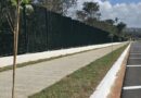Prefeitura revitaliza Bosque Municipal com plantio de 40 ipês-brancos