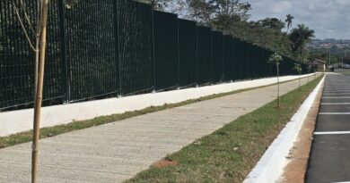 Prefeitura revitaliza Bosque Municipal com plantio de 40 ipês-brancos