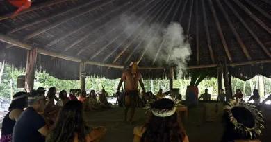 WWF-Brasil se une a 18 organizações e lançam manifesto pelo Turismo de Natureza com foco nas eleições de 2026