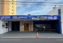 UBS Animal realiza mais de 80 atendimentos na primeira semana da oferta de serviços gratuitos para cães e gatos