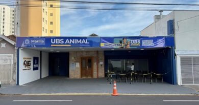 UBS Animal realiza mais de 80 atendimentos na primeira semana da oferta de serviços gratuitos para cães e gatos