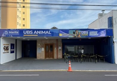 UBS Animal realiza mais de 80 atendimentos na primeira semana da oferta de serviços gratuitos para cães e gatos