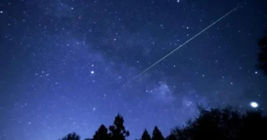 Chuva de meteoros ligada ao cometa Halley atinge pico na madrugada de quinta-feira no Japão