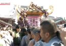 Festival Sanja Matsuri culmina com procissão de “mikoshi” no Santuário de Asakusa, em Tóquio