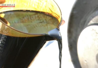 Importações de petróleo bruto do Oriente Médio pelo Japão caíram 67% em abril
