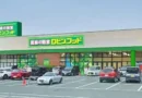 Robin Hood Foods: nova maneira de fazer compras em Tokai