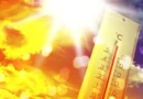 Calorão no Japão: alertas, riscos e como se proteger
