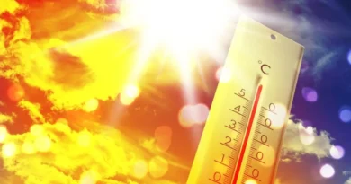 Calorão no Japão: alertas, riscos e como se proteger