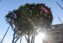 Marília é destaque em ranking de qualidade de vida das cidades brasileiras