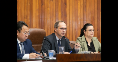 Câmara vota Plano Municipal pela Primeira Infância e celebração de convênio para a Cultura