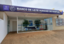 Banco de Leite Humano realiza passeata com mães doadoras e gestantes neste domingo