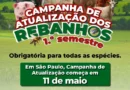 PARAGUAÇU PTA: Atualização obrigatória de rebanhos começa dia 11, alerta Secretaria Municipal de Agricultura e Abastecimento