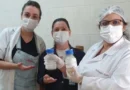 PARAGUAÇU PTA:Dia Mundial da doação de Leite Humano