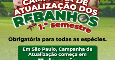 PARAGUAÇU PTA: Atualização obrigatória de rebanhos começa dia 11, alerta Secretaria Municipal de Agricultura e Abastecimento