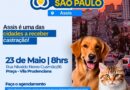 Assis recebe mutirão de castração gratuita: 150 vagas disponíveis para cães e gatos