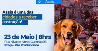 Assis recebe mutirão de castração gratuita: 150 vagas disponíveis para cães e gatos