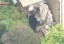 Urso é capturado em área residencial no centro de cidade ao norte de Tóquio