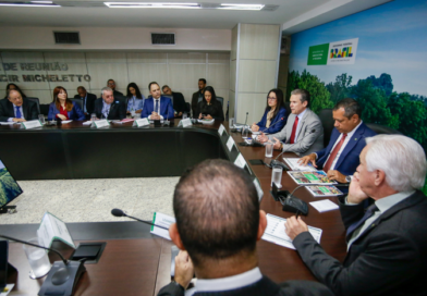 Ministro André de Paula se reúne com presidentes das Câmaras Setoriais para discutir demandas do agronegócio