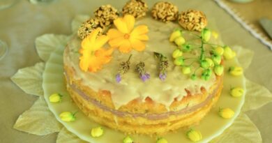 VIII Concurso de Gastronomia PANC destaca turismo, inovação e sabores da biodiversidade regional