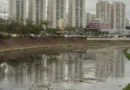 Rio Tietê não tem trecho livre de contaminação, diz SOS Mata Atlântica