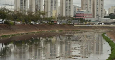 Rio Tietê não tem trecho livre de contaminação, diz SOS Mata Atlântica