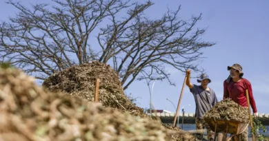 Sistemas agroecológicos de quatro biomas são criados em Brasília