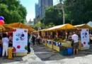 Cooperativismo Ganha Status de Cultura e Acesso a Fundos Regionais