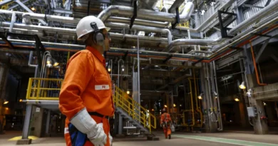 Resiliência Econômica: PIB Brasileiro Mantém Estabilidade em Abril