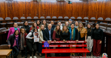 Audiência abre espaço para o debate e aponta metas para o enfrentamento da violência contra a mulher